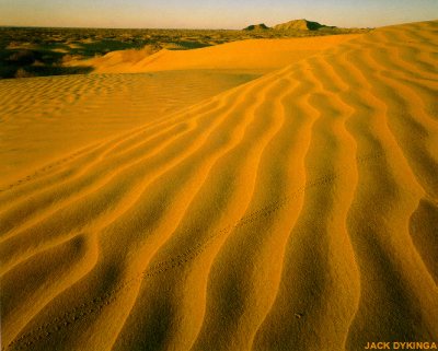 Dunas del Gran Desierto